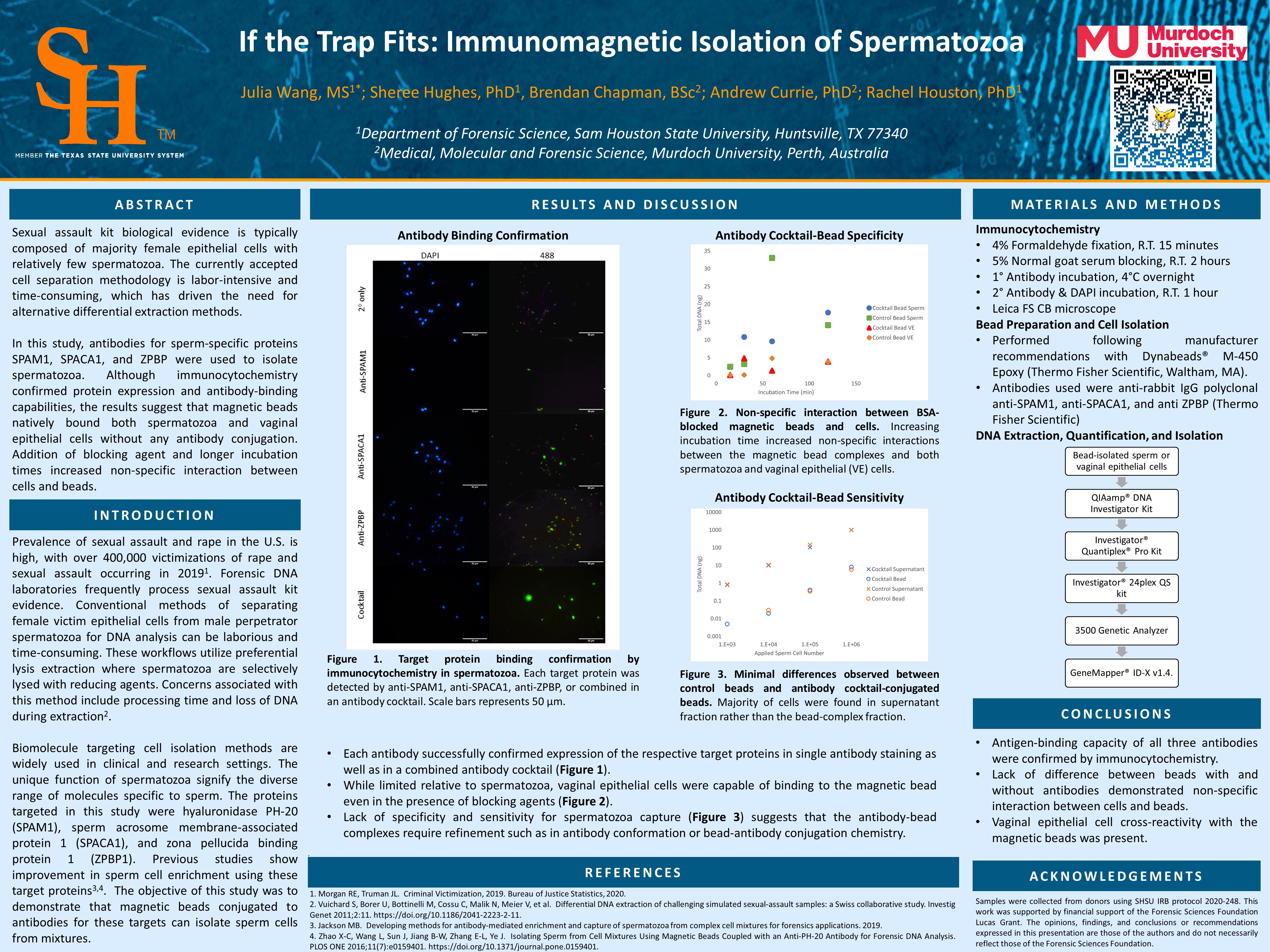 Screenshot of article on archive website